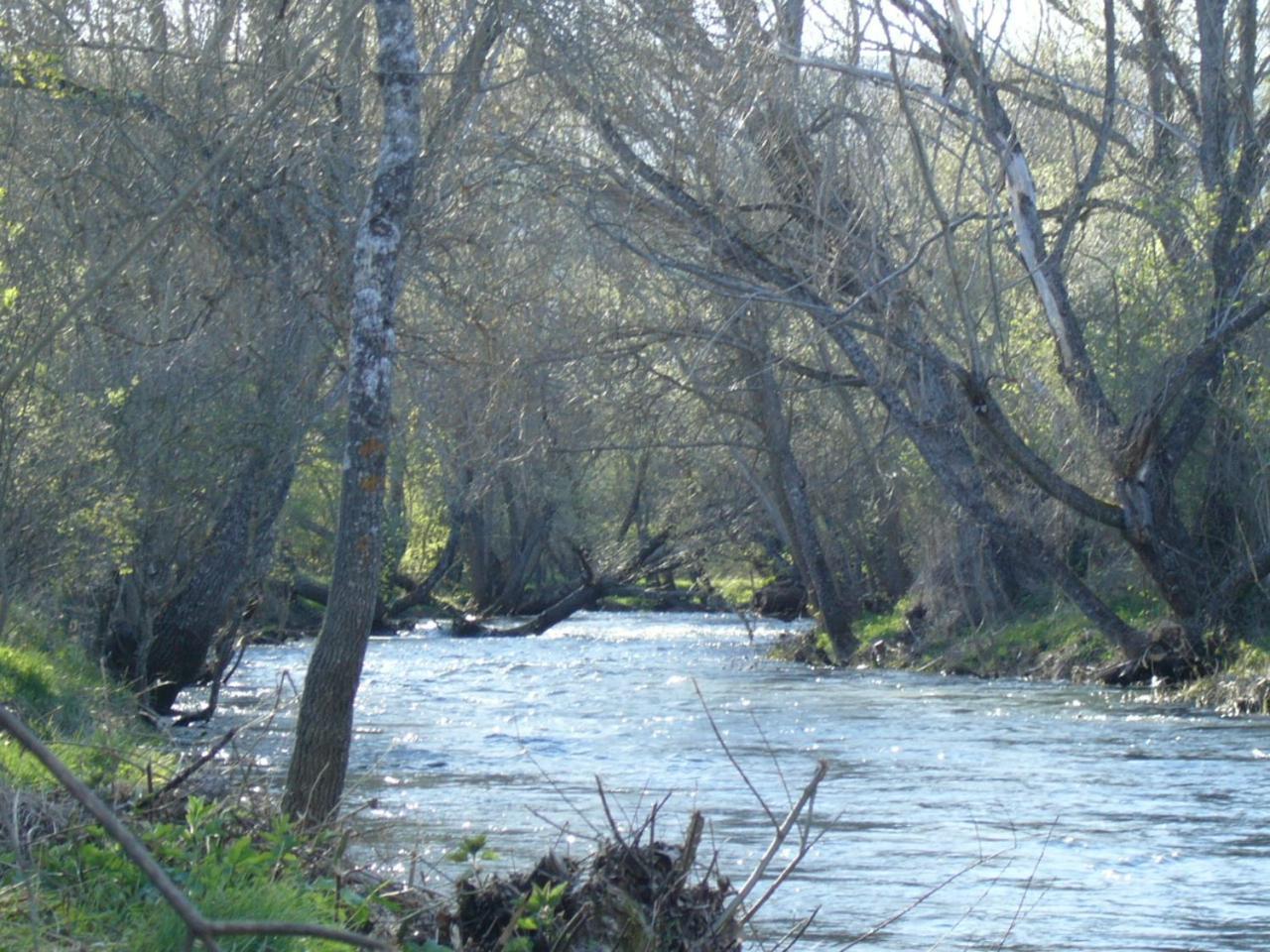 Camping De Cervera De Buitrago Ξενοδοχείο Εξωτερικό φωτογραφία