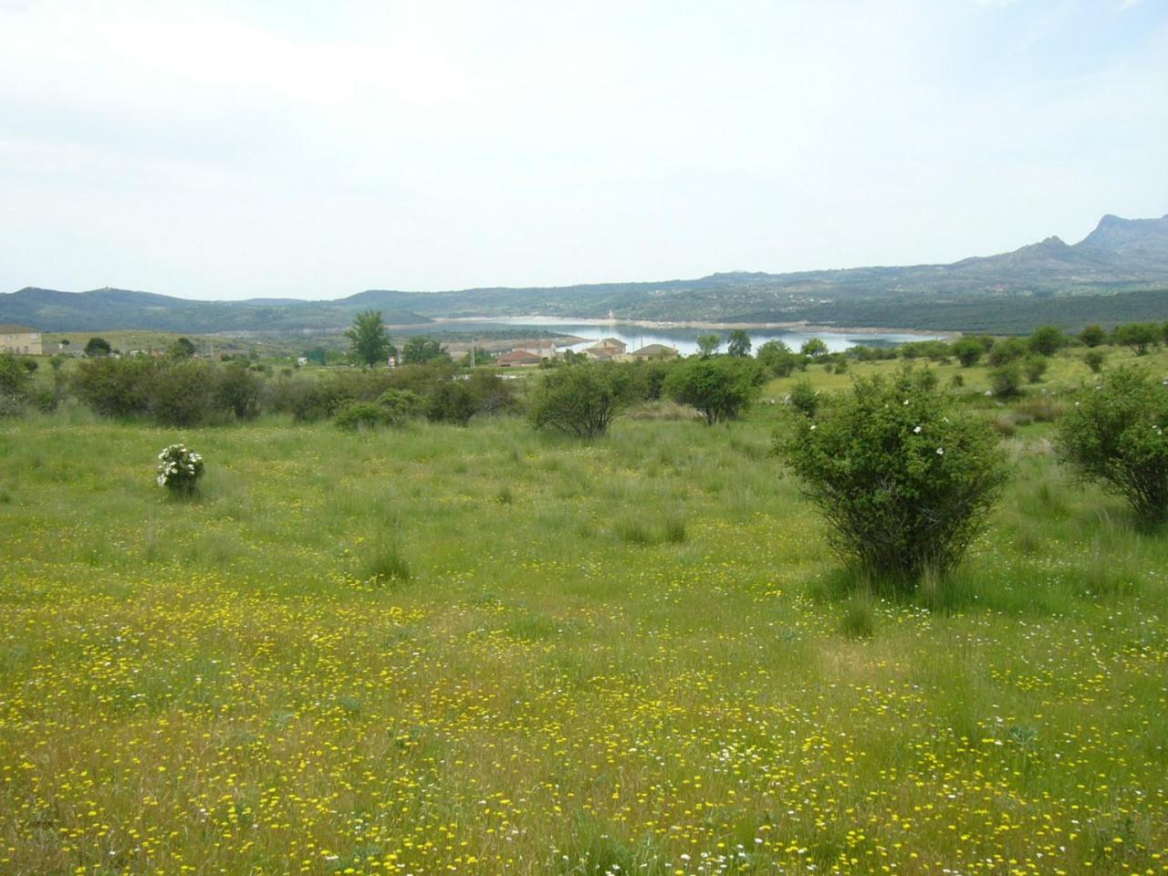 Camping De Cervera De Buitrago Εξωτερικό φωτογραφία