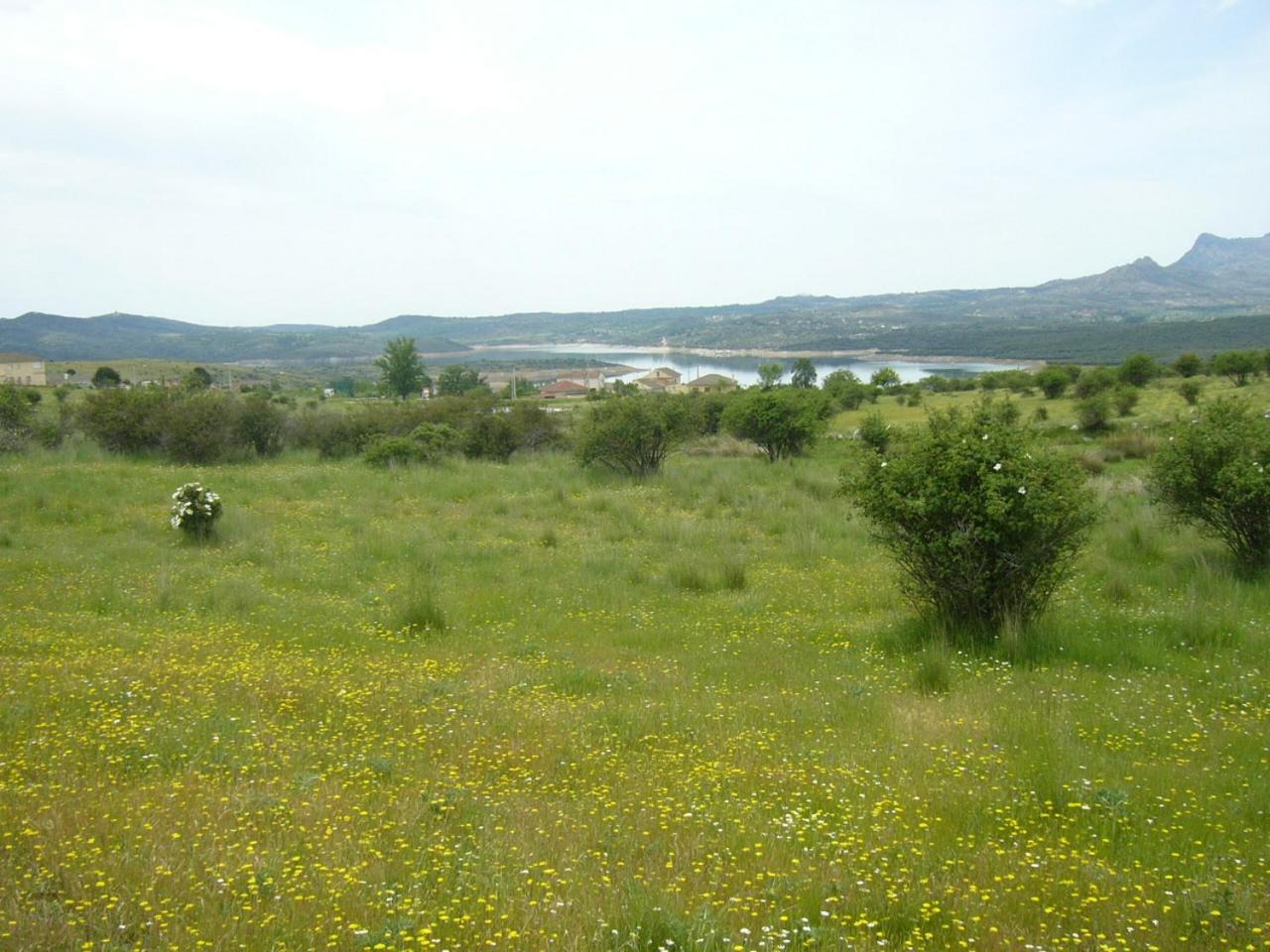 Camping De Cervera De Buitrago Ξενοδοχείο Εξωτερικό φωτογραφία